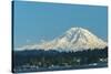 USA, Washington State, Bellevue. Mount Rainier seen from Lake Washington.-Merrill Images-Stretched Canvas