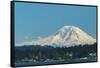 USA, Washington State, Bellevue. Mount Rainier seen from Lake Washington.-Merrill Images-Framed Stretched Canvas
