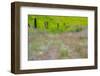 USA, Washington State, Benge. Wooden post fence and grasses on rolling hills-Sylvia Gulin-Framed Photographic Print