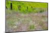 USA, Washington State, Benge. Wooden post fence and grasses on rolling hills-Sylvia Gulin-Mounted Photographic Print