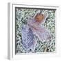 USA, Washington State. Central Cascades, frost covered leaves.-Jamie & Judy Wild-Framed Photographic Print