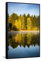 USA, Washington State, Cle Elum. Fall color by a pond in Central Washington.-Richard Duval-Framed Stretched Canvas