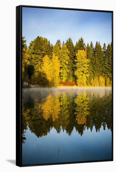 USA, Washington State, Cle Elum. Fall color by a pond in Central Washington.-Richard Duval-Framed Stretched Canvas