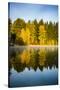 USA, Washington State, Cle Elum. Fall color by a pond in Central Washington.-Richard Duval-Stretched Canvas