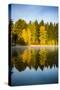 USA, Washington State, Cle Elum. Fall color by a pond in Central Washington.-Richard Duval-Stretched Canvas