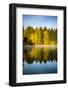 USA, Washington State, Cle Elum. Fall color by a pond in Central Washington.-Richard Duval-Framed Photographic Print