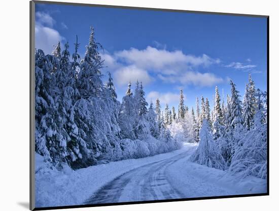 USA, Washington State, Cle Elum, Kittitas County. Colorful winter landscape of rural town.-Julie Eggers-Mounted Photographic Print