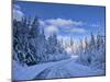 USA, Washington State, Cle Elum, Kittitas County. Colorful winter landscape of rural town.-Julie Eggers-Mounted Photographic Print