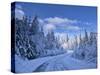 USA, Washington State, Cle Elum, Kittitas County. Colorful winter landscape of rural town.-Julie Eggers-Stretched Canvas