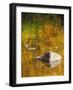 USA, Washington State, Cle Elum, Kittitas County. Fall colors reflecting in a pond.-Julie Eggers-Framed Photographic Print