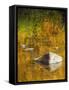 USA, Washington State, Cle Elum, Kittitas County. Fall colors reflecting in a pond.-Julie Eggers-Framed Stretched Canvas