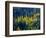 USA, Washington State, Cle Elum, Kittitas County. Western larch near Blewett Pass.-Julie Eggers-Framed Photographic Print