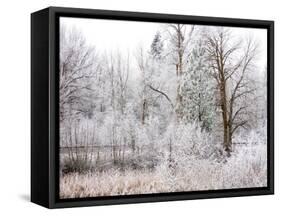 USA, Washington State, Cle Elum, Kittitas County. Winter along the Yakima River.-Julie Eggers-Framed Stretched Canvas