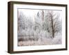 USA, Washington State, Cle Elum, Kittitas County. Winter along the Yakima River.-Julie Eggers-Framed Photographic Print
