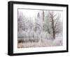 USA, Washington State, Cle Elum, Kittitas County. Winter along the Yakima River.-Julie Eggers-Framed Photographic Print