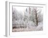 USA, Washington State, Cle Elum, Kittitas County. Winter along the Yakima River.-Julie Eggers-Framed Photographic Print