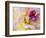 USA, Washington State, Cle Elum. Macro of a dahlia.-Julie Eggers-Framed Photographic Print