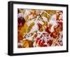 Usa, Washington State, Cle Elum. Vine maple in snow-Merrill Images-Framed Photographic Print