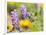 USA, Washington State. Close-up of Arrowleaf Balsamroot and lupine-Terry Eggers-Framed Photographic Print