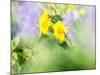 USA, Washington State. Close-up of Arrowleaf Balsamroot and lupine-Terry Eggers-Mounted Photographic Print