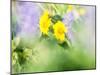 USA, Washington State. Close-up of Arrowleaf Balsamroot and lupine-Terry Eggers-Mounted Photographic Print