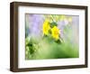 USA, Washington State. Close-up of Arrowleaf Balsamroot and lupine-Terry Eggers-Framed Photographic Print