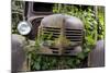 USA, Washington State, Columbia County. Abandoned car just north of Dayton.-Brent Bergherm-Mounted Photographic Print