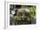 USA, Washington State, Columbia County. Abandoned car just north of Dayton.-Brent Bergherm-Framed Photographic Print