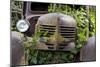 USA, Washington State, Columbia County. Abandoned car just north of Dayton.-Brent Bergherm-Mounted Photographic Print