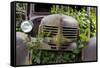 USA, Washington State, Columbia County. Abandoned car just north of Dayton.-Brent Bergherm-Framed Stretched Canvas