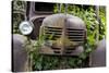 USA, Washington State, Columbia County. Abandoned car just north of Dayton.-Brent Bergherm-Stretched Canvas