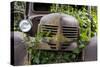 USA, Washington State, Columbia County. Abandoned car just north of Dayton.-Brent Bergherm-Stretched Canvas