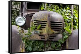 USA, Washington State, Columbia County. Abandoned car just north of Dayton.-Brent Bergherm-Framed Stretched Canvas