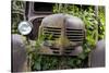 USA, Washington State, Columbia County. Abandoned car just north of Dayton.-Brent Bergherm-Stretched Canvas