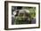 USA, Washington State, Columbia County. Abandoned car just north of Dayton.-Brent Bergherm-Framed Photographic Print