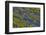 USA, Washington State, Columbia Hills State Park. Wildflowers bloom on hillside.-Jaynes Gallery-Framed Photographic Print