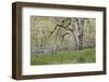 USA, Washington State, Columbia River Gorge. Abandoned pasture-Jaynes Gallery-Framed Photographic Print