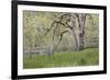 USA, Washington State, Columbia River Gorge. Abandoned pasture-Jaynes Gallery-Framed Photographic Print