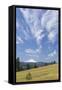 USA, Washington State, Columbia River Gorge. Summer Meadow Landscape-Don Paulson-Framed Stretched Canvas