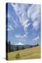 USA, Washington State, Columbia River Gorge. Summer Meadow Landscape-Don Paulson-Stretched Canvas