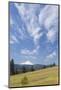 USA, Washington State, Columbia River Gorge. Summer Meadow Landscape-Don Paulson-Mounted Photographic Print