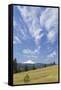 USA, Washington State, Columbia River Gorge. Summer Meadow Landscape-Don Paulson-Framed Stretched Canvas