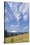 USA, Washington State, Columbia River Gorge. Summer Meadow Landscape-Don Paulson-Stretched Canvas