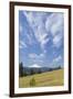 USA, Washington State, Columbia River Gorge. Summer Meadow Landscape-Don Paulson-Framed Photographic Print