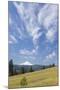 USA, Washington State, Columbia River Gorge. Summer Meadow Landscape-Don Paulson-Mounted Photographic Print