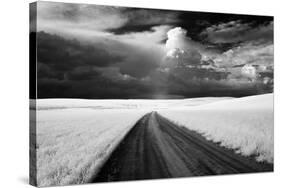USA, Washington State, Country backroad-Terry Eggers-Stretched Canvas