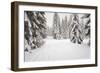USA, Washington State, Crystal Mountain area. Winter snow.-Savanah Stewart-Framed Photographic Print