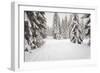 USA, Washington State, Crystal Mountain area. Winter snow.-Savanah Stewart-Framed Photographic Print