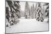 USA, Washington State, Crystal Mountain area. Winter snow.-Savanah Stewart-Mounted Photographic Print