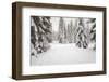 USA, Washington State, Crystal Mountain area. Winter snow.-Savanah Stewart-Framed Photographic Print